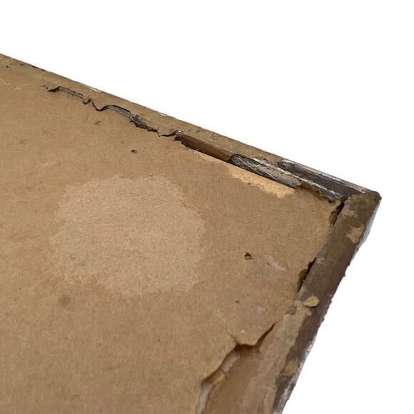 J Gould Splendid Grass Parakeet Offset Litho Print Framed - Picture 8 of 9